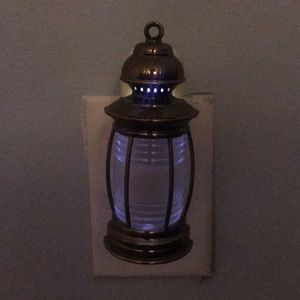 Wallflower plugs set of 3